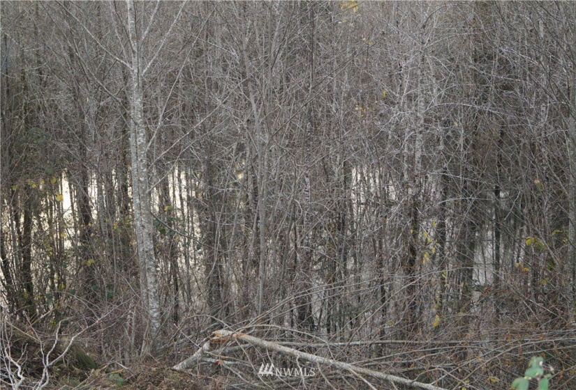 649 Middle Satsop, Montesano, Washington 98563, ,Land,For Sale,Middle Satsop,NWM1868556
