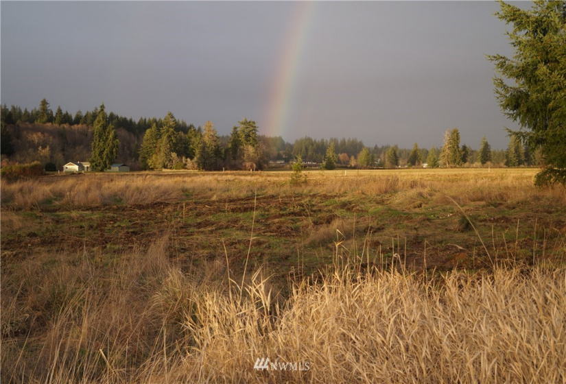 649 Middle Satsop, Montesano, Washington 98563, ,Land,For Sale,Middle Satsop,NWM1868556