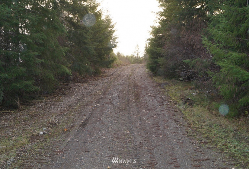 649 Middle Satsop, Montesano, Washington 98563, ,Land,For Sale,Middle Satsop,NWM1868556