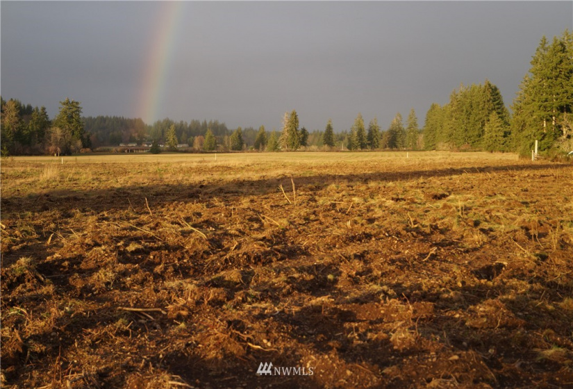 649 Middle Satsop, Montesano, Washington 98563, ,Land,For Sale,Middle Satsop,NWM1868556