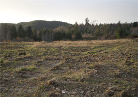 649 Middle Satsop, Montesano, Washington 98563, ,Land,For Sale,Middle Satsop,NWM1868556