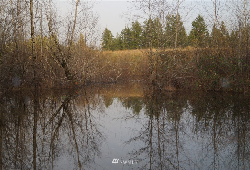 649 Middle Satsop, Montesano, Washington 98563, ,Land,For Sale,Middle Satsop,NWM1868556
