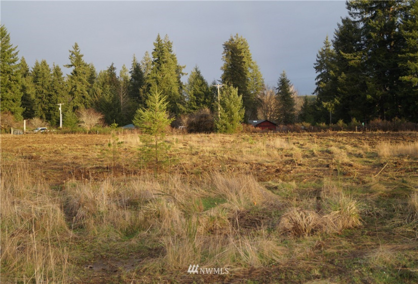 649 Middle Satsop, Montesano, Washington 98563, ,Land,For Sale,Middle Satsop,NWM1868556