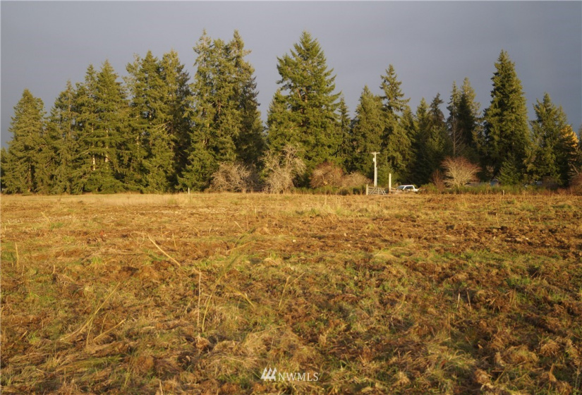 649 Middle Satsop, Montesano, Washington 98563, ,Land,For Sale,Middle Satsop,NWM1868556