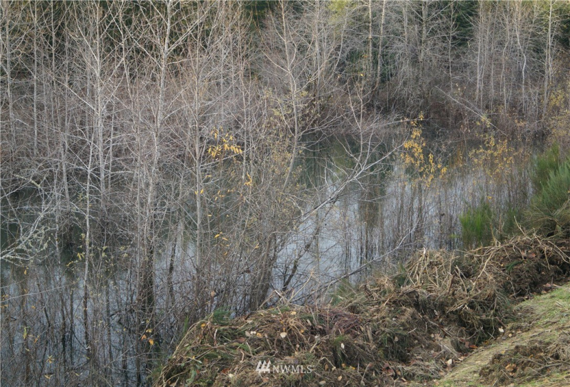 649 Middle Satsop, Montesano, Washington 98563, ,Land,For Sale,Middle Satsop,NWM1868556