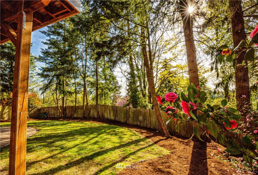 5423 134th, Bellevue, Washington 98006, 5 Bedrooms Bedrooms, ,3 BathroomsBathrooms,Residential Lease,For Rent,134th,NWM1868626