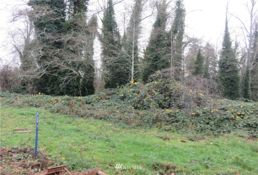 1301 13th, Olympia, Washington 98501, ,Land,For Sale,13th,NWM1868275