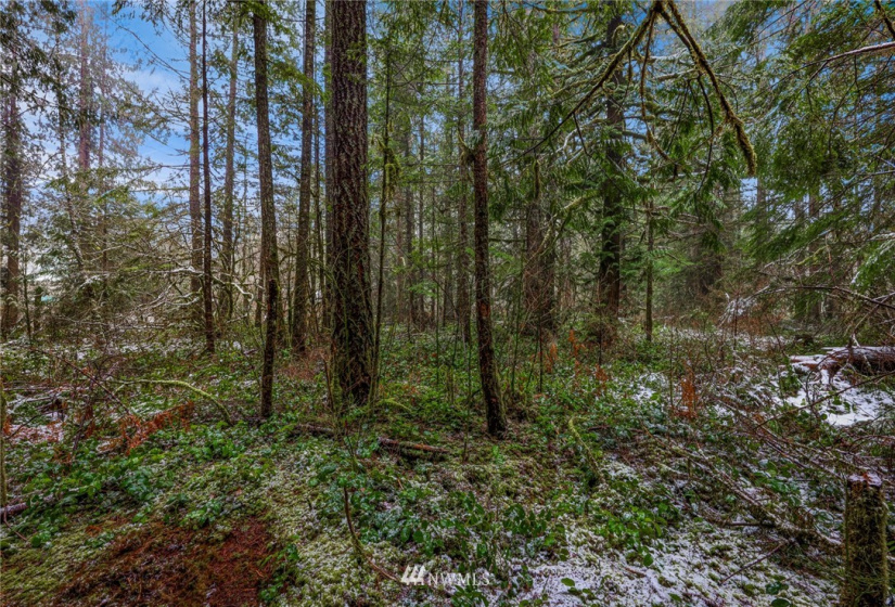 7461 Mt Baker, Maple Falls, Washington 98266, ,Commercial Sale,For Sale,Mt Baker,NWM1868664