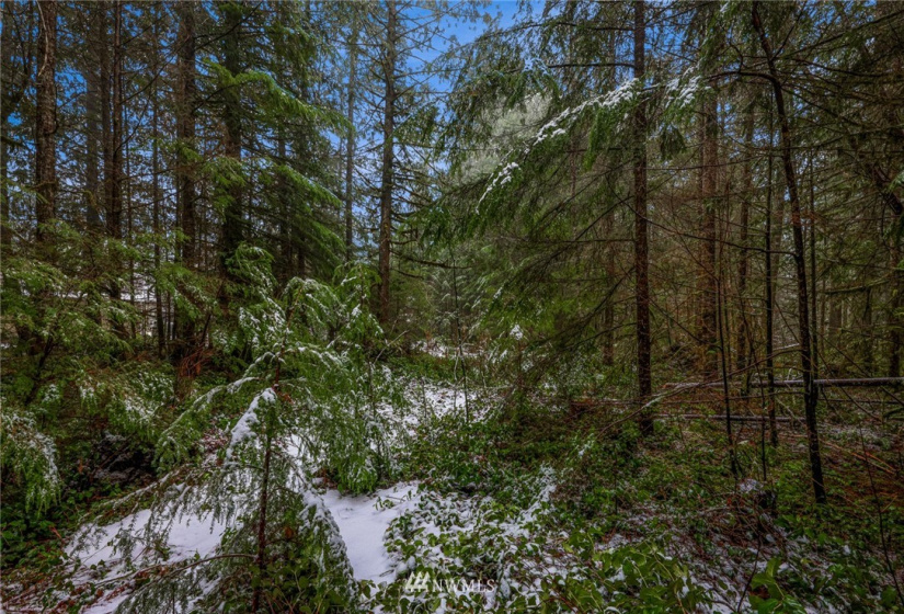 7461 Mt Baker, Maple Falls, Washington 98266, ,Commercial Sale,For Sale,Mt Baker,NWM1868664