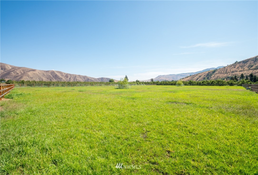 4284 Old Monitor Rd, Cashmere, Washington 98815, 3 Bedrooms Bedrooms, ,3 BathroomsBathrooms,Farm,For Sale,Old Monitor Rd,NWM1868742