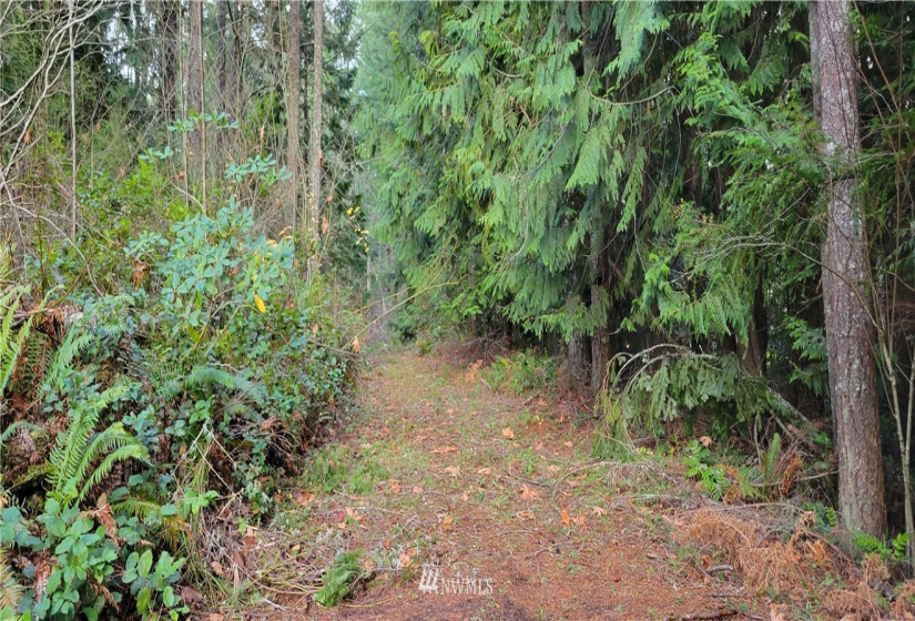 228 Lakeview, Silverlake, Washington 98645, 2 Bedrooms Bedrooms, ,2 BathroomsBathrooms,Residential,For Sale,Lakeview,NWM1868758
