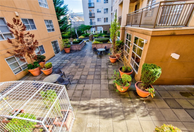 111 108 AVE, Bellevue, Washington 98004, 1 Bedroom Bedrooms, ,1 BathroomBathrooms,Residential,For Sale,Belle Arts Condominium,108 AVE,NWM1868307
