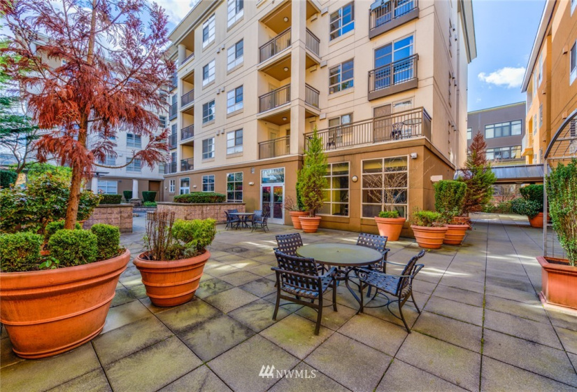 111 108 AVE, Bellevue, Washington 98004, 1 Bedroom Bedrooms, ,1 BathroomBathrooms,Residential,For Sale,Belle Arts Condominium,108 AVE,NWM1868307