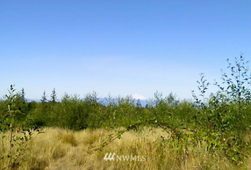 1401 Blackberry, Oak Harbor, Washington 98277, ,Land,For Sale,Blackberry,NWM1865691