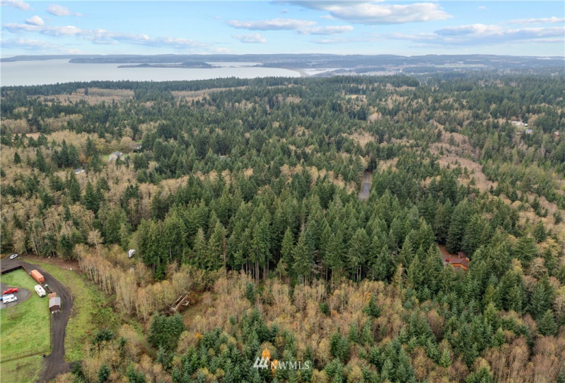 1401 Blackberry, Oak Harbor, Washington 98277, ,Land,For Sale,Blackberry,NWM1865691