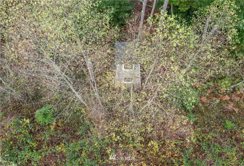 1401 Blackberry, Oak Harbor, Washington 98277, ,Land,For Sale,Blackberry,NWM1865691