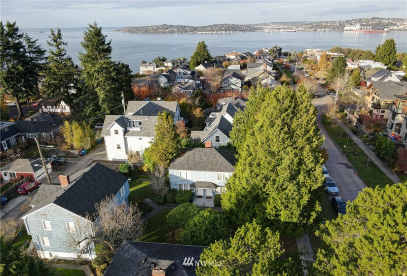 1517 1521 1525 44th, Seattle, Washington 98116, ,Residential Income,For Sale,1521 1525 44th,NWM1868142