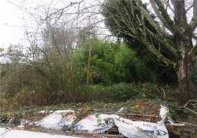 1305 13th, Olympia, Washington 98501, ,Land,For Sale,13th,NWM1868967