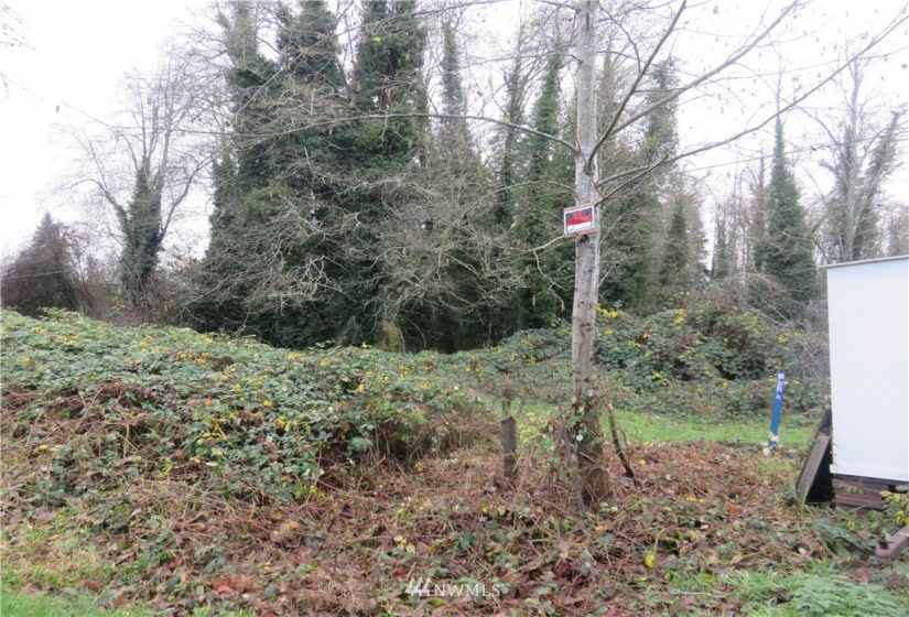 1305 13th, Olympia, Washington 98501, ,Land,For Sale,13th,NWM1868967
