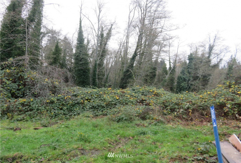 1305 13th, Olympia, Washington 98501, ,Land,For Sale,13th,NWM1868967