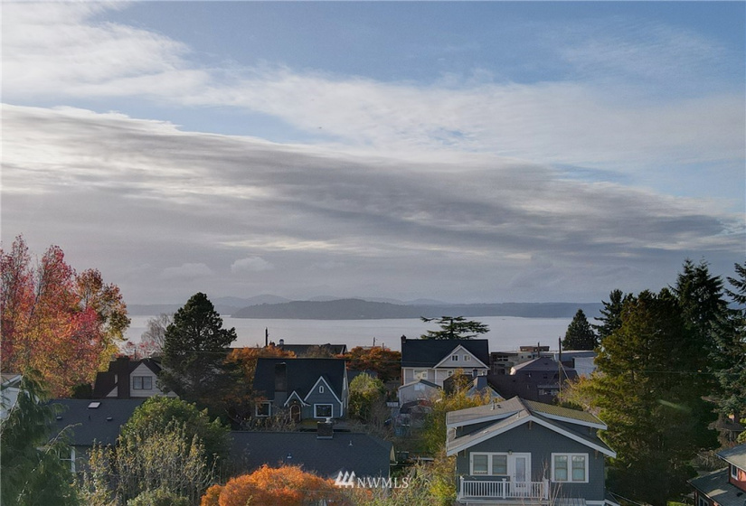 1517 1521 1525 44th, Seattle, Washington 98116, ,Land,For Sale,1521 1525 44th,NWM1869060