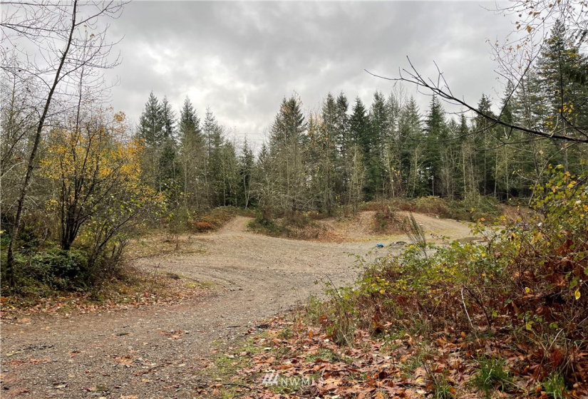 273 XS Old Pipeline Road, Monroe, Washington 98272, ,Land,For Sale,Old Pipeline Road,NWM1865257