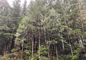 273 XS Old Pipeline Road, Monroe, Washington 98272, ,Land,For Sale,Old Pipeline Road,NWM1865257