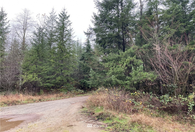273 XS Old Pipeline Road, Monroe, Washington 98272, ,Land,For Sale,Old Pipeline Road,NWM1865257