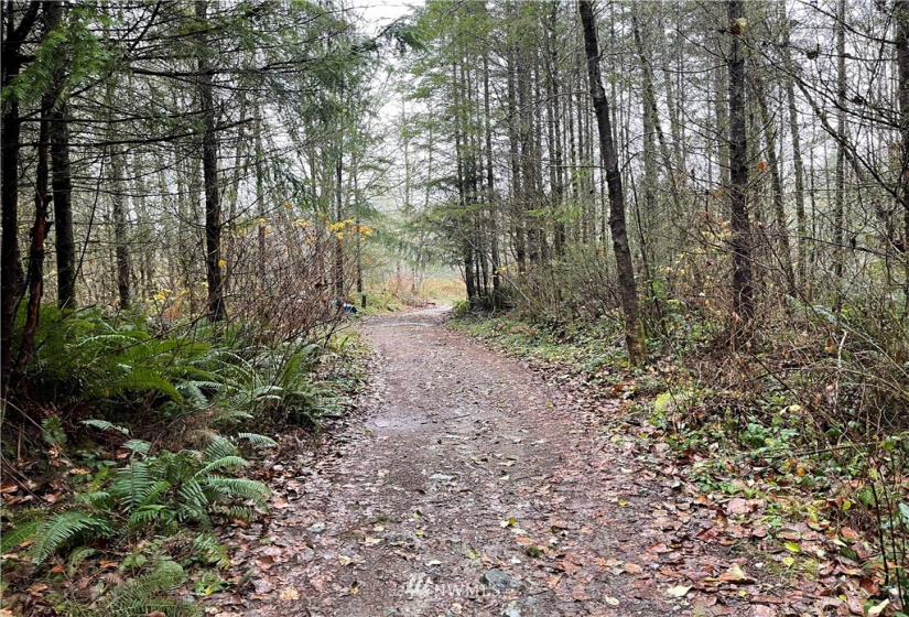 273 XS Old Pipeline Road, Monroe, Washington 98272, ,Land,For Sale,Old Pipeline Road,NWM1865257