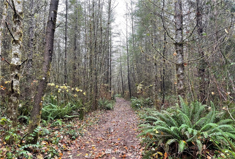 273 XS Old Pipeline Road, Monroe, Washington 98272, ,Land,For Sale,Old Pipeline Road,NWM1865257