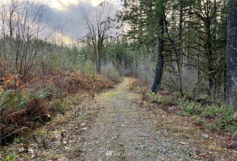 66 XA Woods Creek Road, Monroe, Washington 98272, ,Land,For Sale,Woods Creek Road,NWM1865331