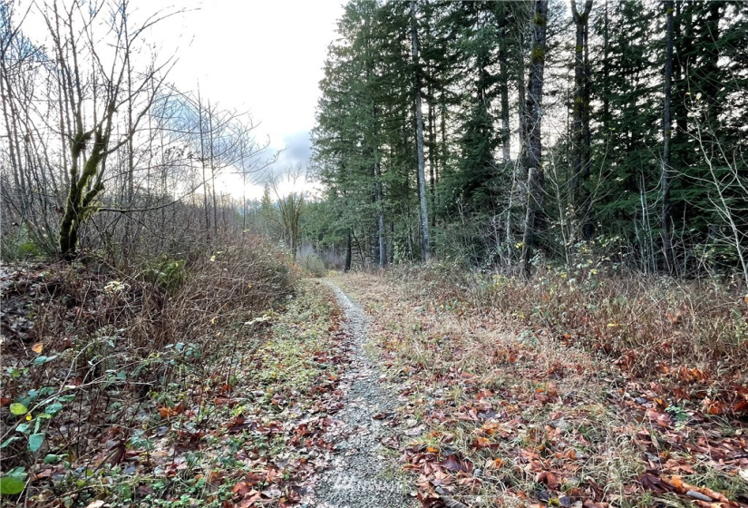 66 XA Woods Creek Road, Monroe, Washington 98272, ,Land,For Sale,Woods Creek Road,NWM1865331