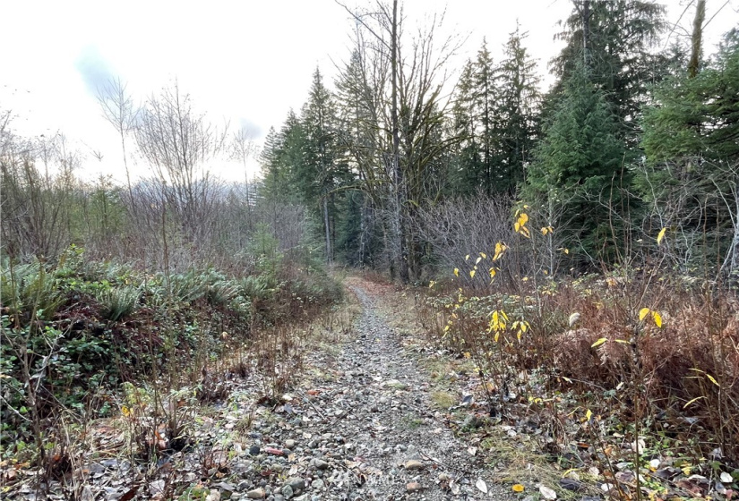 66 XA Woods Creek Road, Monroe, Washington 98272, ,Land,For Sale,Woods Creek Road,NWM1865331