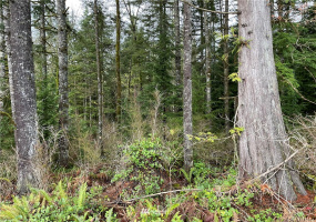 66 XA Woods Creek Road, Monroe, Washington 98272, ,Land,For Sale,Woods Creek Road,NWM1865331