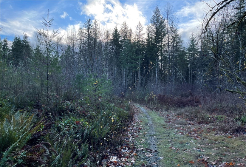 66 XA Woods Creek Road, Monroe, Washington 98272, ,Land,For Sale,Woods Creek Road,NWM1865331