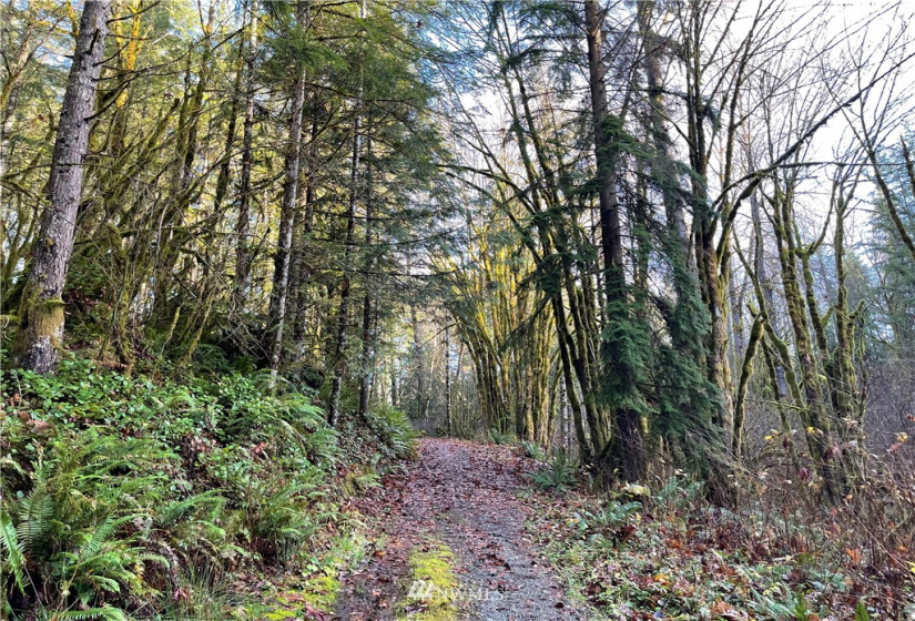 66 XA Woods Creek Road, Monroe, Washington 98272, ,Land,For Sale,Woods Creek Road,NWM1865331