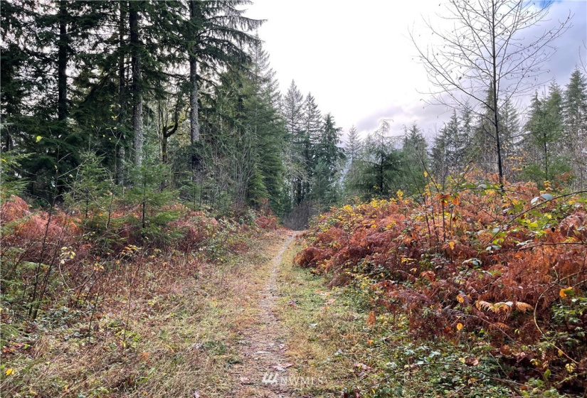66 XC Woods Creek Road, Monroe, Washington 98272, ,Land,For Sale,Woods Creek Road,NWM1867349