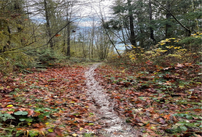 66 XC Woods Creek Road, Monroe, Washington 98272, ,Land,For Sale,Woods Creek Road,NWM1867349