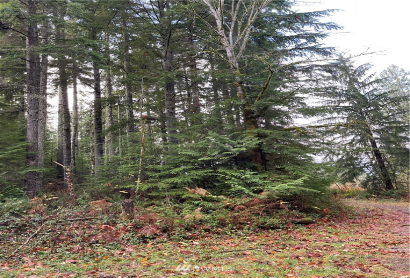 66 XC Woods Creek Road, Monroe, Washington 98272, ,Land,For Sale,Woods Creek Road,NWM1867349