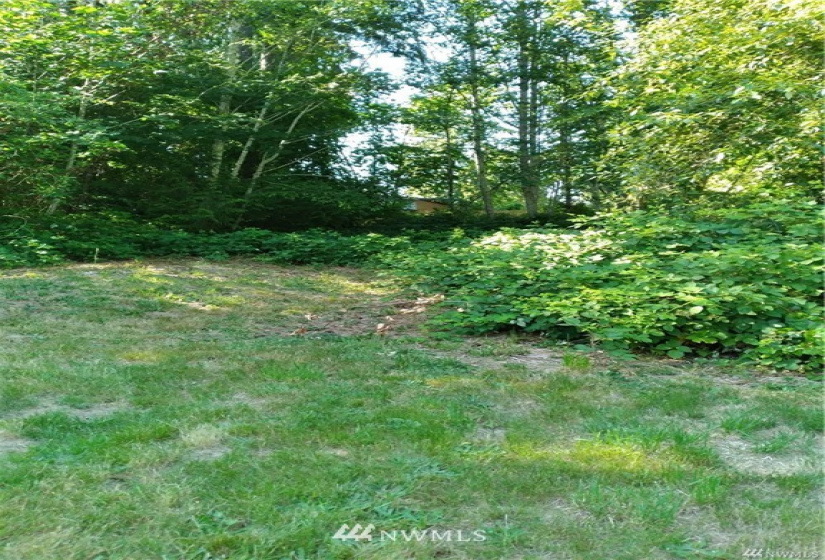 21 Fir, Shelton, Washington 98584, ,Land,For Sale,Shorecrest Beach Estates #1,Fir,NWM1868128
