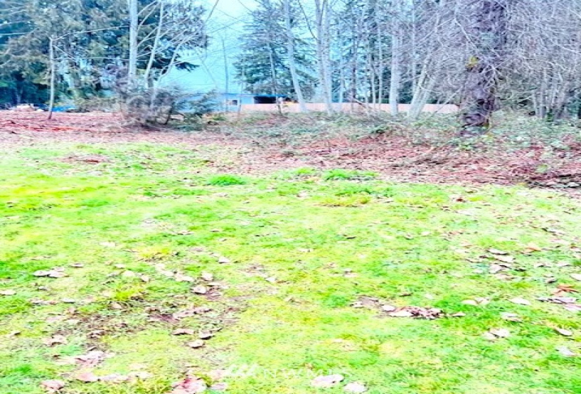 21 Fir, Shelton, Washington 98584, ,Land,For Sale,Shorecrest Beach Estates #1,Fir,NWM1868128