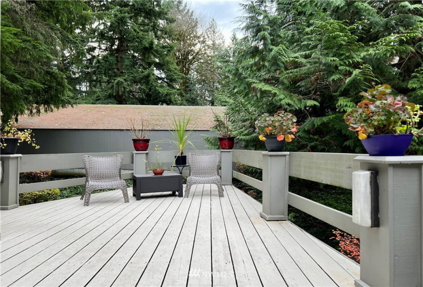 13772 60th St, Redmond, Washington 98052, 1 Bedroom Bedrooms, ,1 BathroomBathrooms,Residential,For Sale,Sixty-01,60th St,NWM1868943