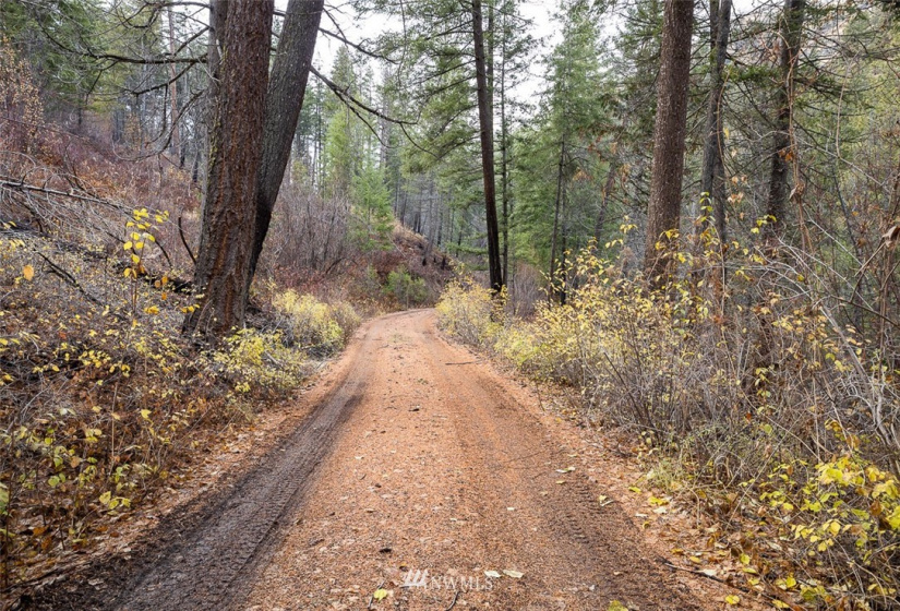 0 NNA Dove Mountain Ranch, Carlton, Washington 98814, ,Land,For Sale,Dove Mountain Ranch,NWM1868636