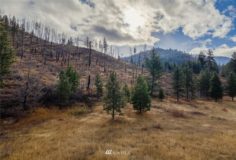 0 NNA Dove Mountain Ranch, Carlton, Washington 98814, ,Land,For Sale,Dove Mountain Ranch,NWM1868636