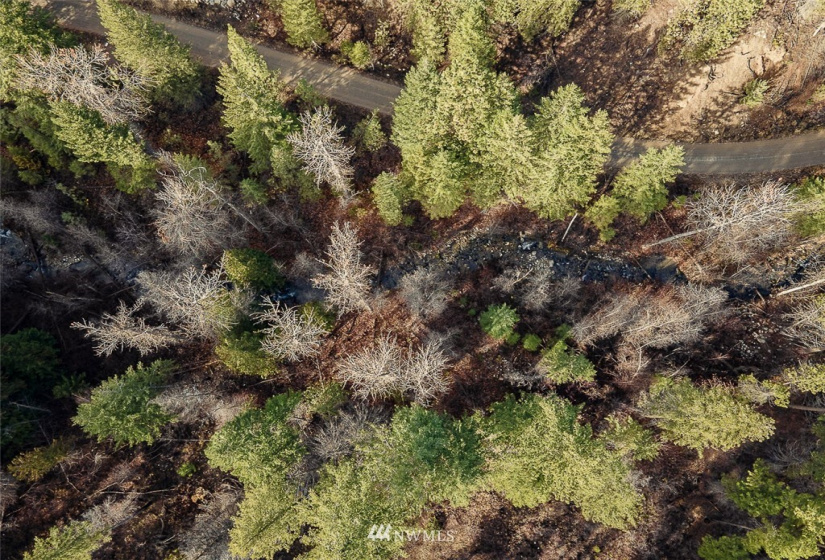 0 NNA Dove Mountain Ranch, Carlton, Washington 98814, ,Land,For Sale,Dove Mountain Ranch,NWM1868636