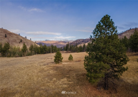 0 NNA Dove Mountain Ranch, Carlton, Washington 98814, ,Land,For Sale,Dove Mountain Ranch,NWM1868636