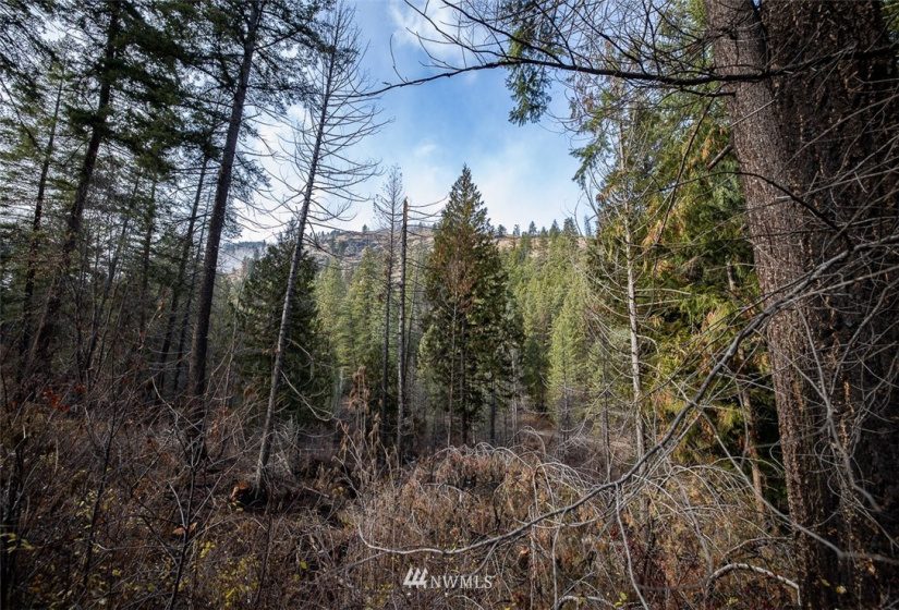 0 NNA Dove Mountain Ranch, Carlton, Washington 98814, ,Land,For Sale,Dove Mountain Ranch,NWM1868636