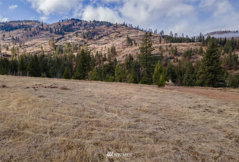 0 NNA Dove Mountain Ranch, Carlton, Washington 98814, ,Land,For Sale,Dove Mountain Ranch,NWM1868636
