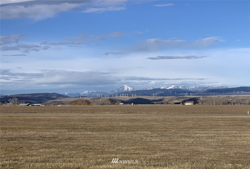 21 XX Weaver, Ellensburg, Washington 98926, ,Land,For Sale,Weaver,NWM1869168
