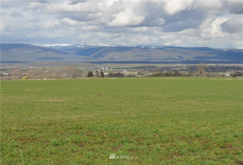 21 XX Weaver, Ellensburg, Washington 98926, ,Land,For Sale,Weaver,NWM1869168